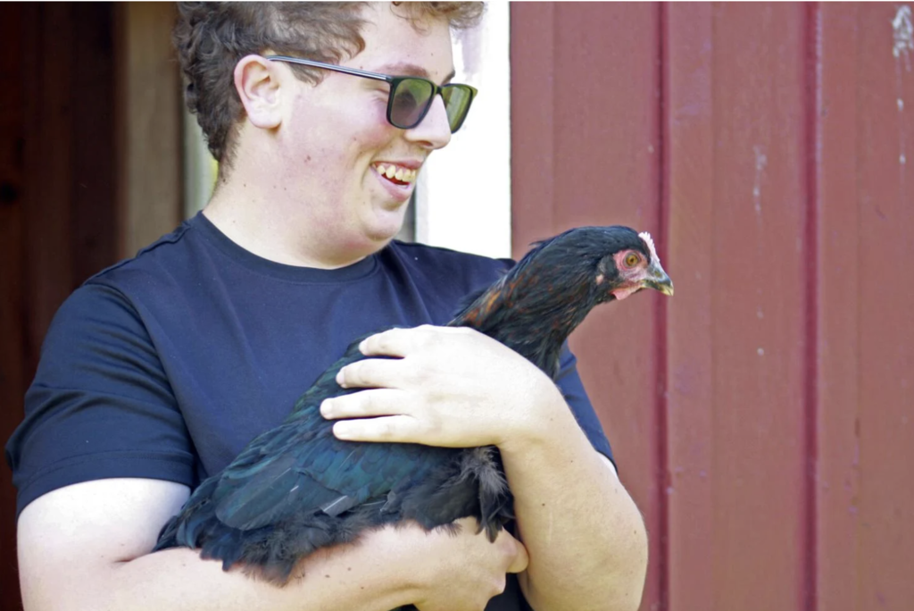 BFA farm welcomes chickens!